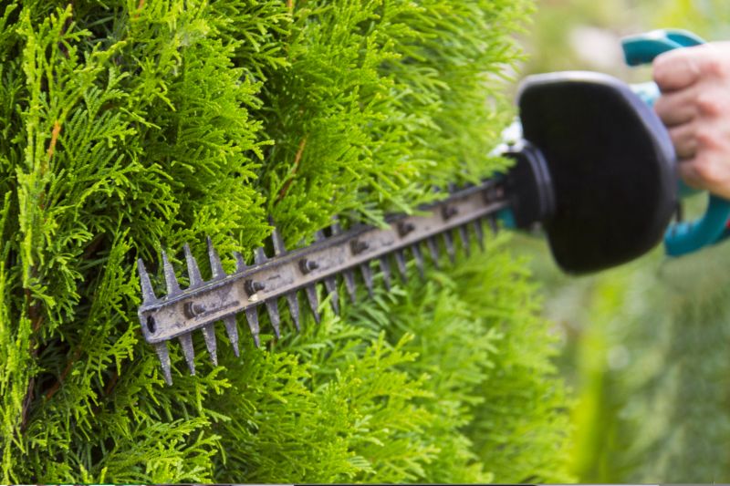 Hedge Shaping Service