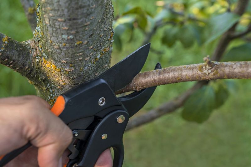 Pruning Tools in Action