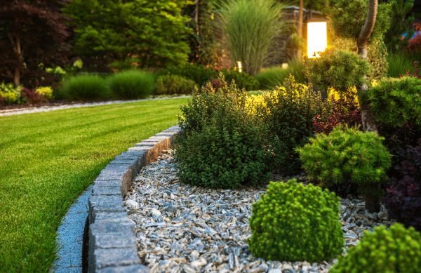 Bush Relocation in Danbury