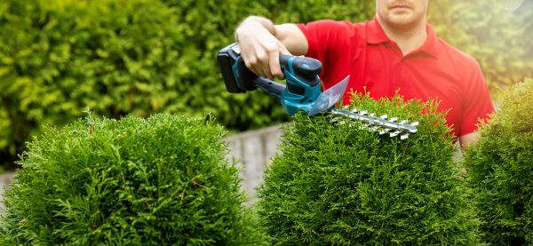 Hedge Shaping Service in Danbury
